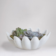 Studio A Gingerleaf Bowl