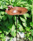 Antiqued Birdbath https://cdn3.bigcommerce.com/s-nzzxy311bx/product_images//w/ Birds with stand