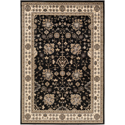 Surya Paramount  Rug - PAR1070 - 6'7" x 9'6"