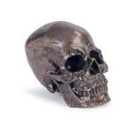 Regina Andrew Metal Skull - Antique Bronze