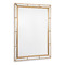 Regina Andrew Plaza Beveled Mirror