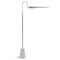 Regina Andrew Raven Floor Lamp - Polished Nickel