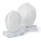 Regina Andrew Turtle Shells On Crystal - Set Of 2