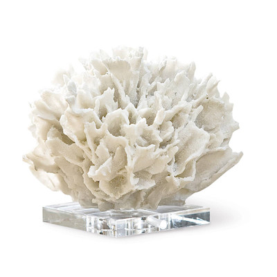 Regina Andrew Ribbon Coral - White