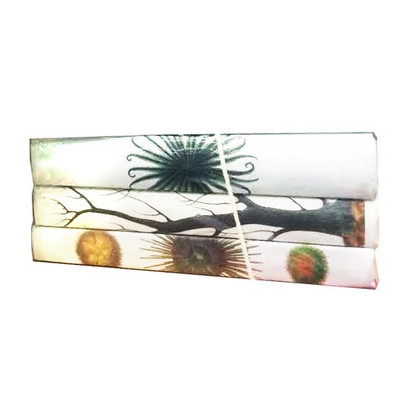 E Lawrence Sea Life Vi: 3 Volume Set