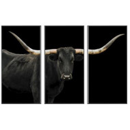 Black Long Horn Triptych(Set of 3- 24 x 48)