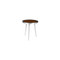 Phillips Collection Sheesham Wood Side Table