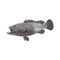 Phillips Collection Estuary Cod Fish, Polished Aluminum