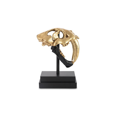 Phillips Collection Saber Tooth Tiger Skull, Black, Gold Leaf