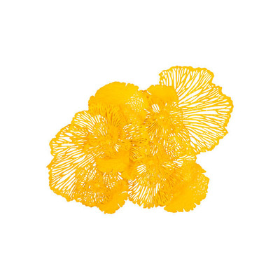 Phillips Collection Flower Wall Art, Dandelion, LG