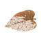 Phillips Collection Birch Leaf Wall Art, Copper, LG