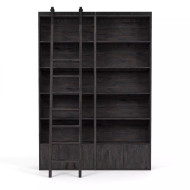 Four Hands Bane Double Bookshelf W/ Ladder - Dark Charcoal