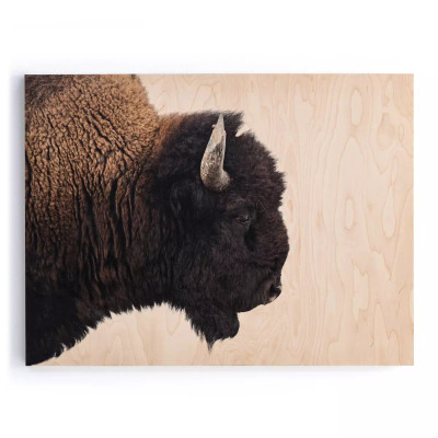 Four Hands American Bison by Getty Images - 60"X40"