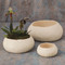 Ceramic Urchin Bowl - Matte White - Med