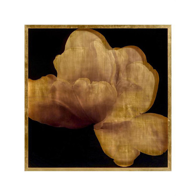 Mark McDowell's Kin Saki