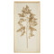 Golden Frond on Ivory II