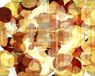 Art Classics Leaves and Dandelions V