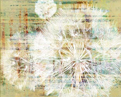 Art Classics Leaves and Dandelions VII