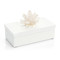 Long White Box with Quartz