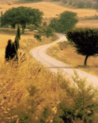 Art Classics Tuscan Way