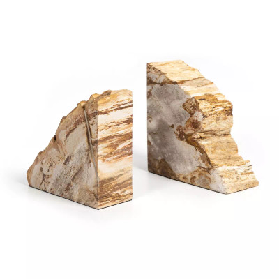 Four Hands Petrified Wood Book Ends