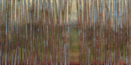 Art Classics Blue Birch Forest II