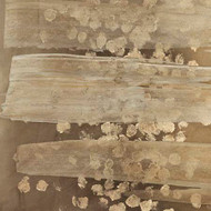 Art Classics Golden Rule IV