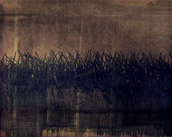 Art Classics Tall Grass 1