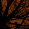 Art Classics Twilight Trees Rust Right