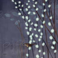 Art Classics Willow Wren 1