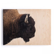 Four Hands American Bison by Getty Images - 48"X36"