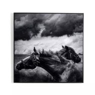 Four Hands Horses Pair by Getty Images - 40X40"