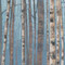Art Classics Birch Forest II #2