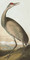 Art Classics Hooping Crane