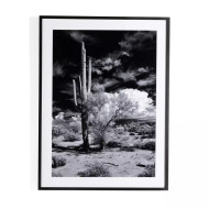 Four Hands Sonoran Desert by Getty Images - 24"X32"