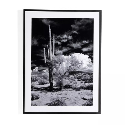 Four Hands Sonoran Desert by Getty Images - 36"X48"
