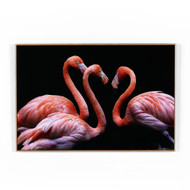 Four Hands Three Flamingos By Getty Images - 48X32"