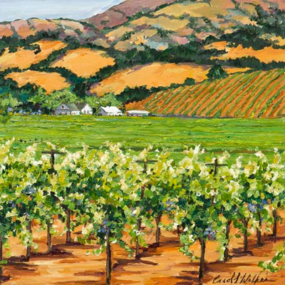 Art Classics Sonoma Vineyards II