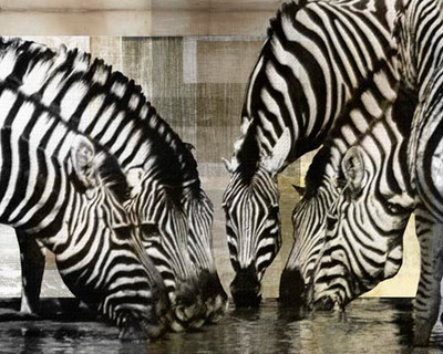 Art Classics Zebra