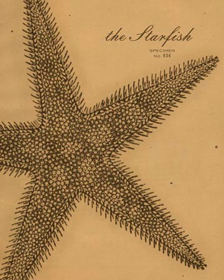 Art Classics Starfish Etching