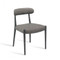 Interlude Home Adeline Dining Chair - Charcoal - Set Of 2
