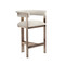 Interlude Home Darcy Counter Stool - Drift