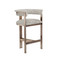 Interlude Home Darcy Counter Stool - Breeze