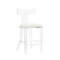 Interlude Home Tristan Acrylic Counter Stool - Shell