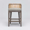 Interlude Home Palms Counter Stool - Grey Ceruse/ Tint