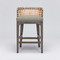Interlude Home Palms Counter Stool - Grey Ceruse/ Fawn