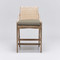 Interlude Home Delray Counter Stool - White Ceruse/ Sis