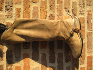 Equestrian Explorer Boots