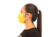 2-Ply Standard Surgical Mask