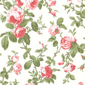 344-68702-Wilda Red Roselle Trail wallpaper